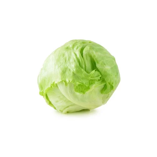 American lettuce