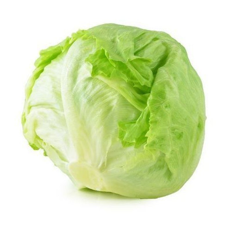 American lettuce