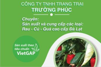 Giới thiệu công ty
