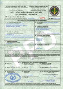 Giấy chứng nhận kiểm dịch thực vật