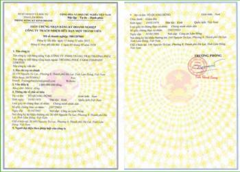 Giấy chứng nhận đăng ký doanh nghiệp