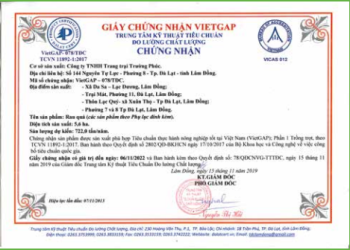 Giấy chứng nhận VIETGAP