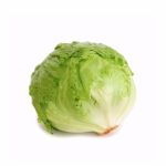 American lettuce