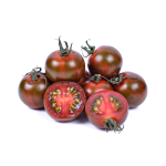 Chocolate cherry tomatoes